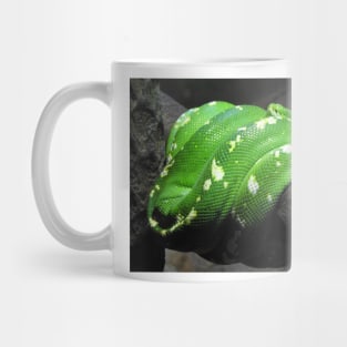 Green Tree Python Mug